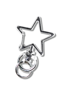 nas_star_01_silver.jpg