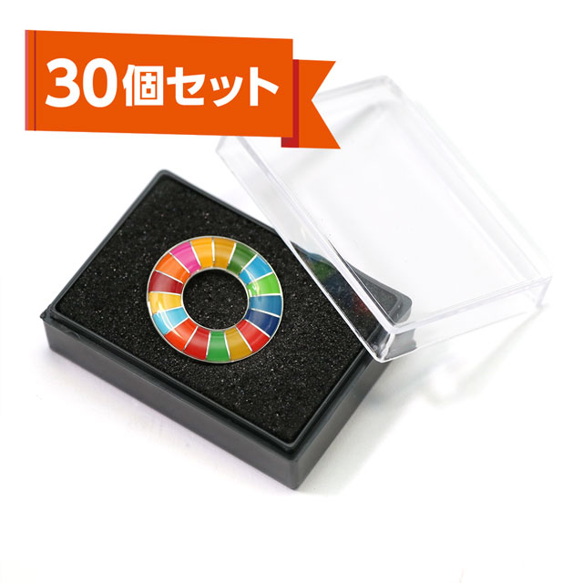 SDGsピンバッジ【30個セット】 | ピンバッジの達人